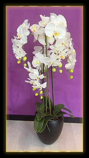 Valk Beauty & Health salon